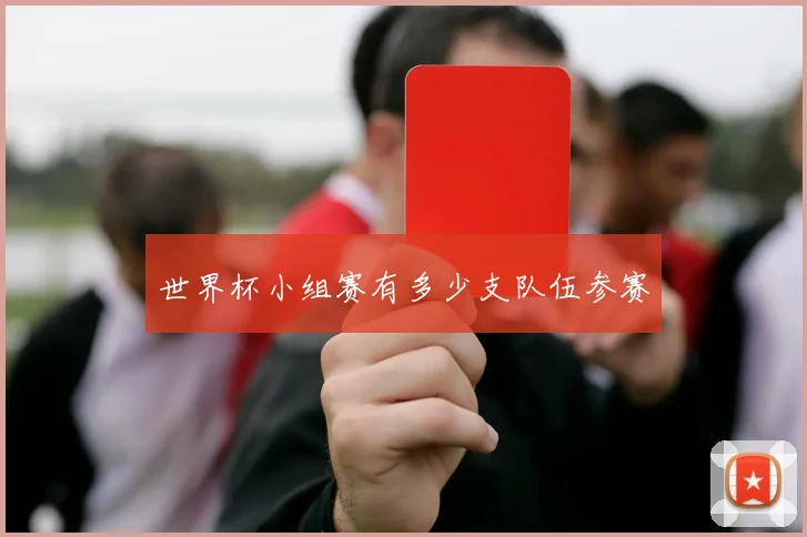世界杯小组赛有多少支队伍参赛