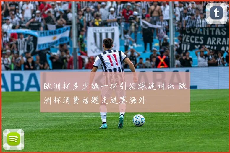欧洲杯多少钱一杯引发球迷讨论 欧洲杯消费话题走进赛场外