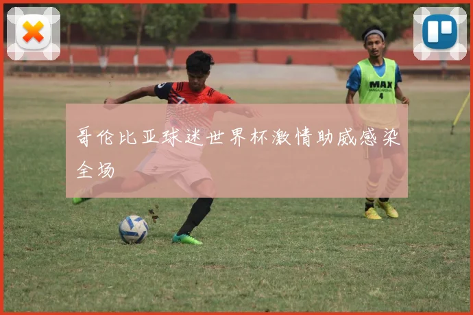 哥伦比亚球迷世界杯激情助威感染全场
