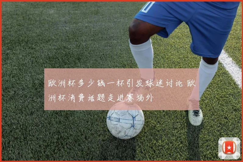 欧洲杯多少钱一杯引发球迷讨论 欧洲杯消费话题走进赛场外