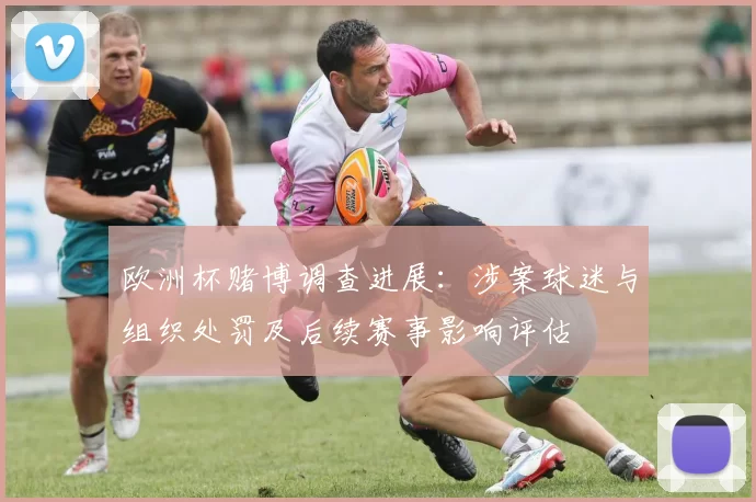 欧洲杯赌博调查进展:涉案球迷与组织处罚及后续赛事影响评估