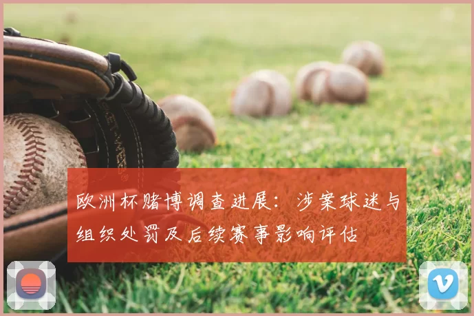 欧洲杯赌博调查进展:涉案球迷与组织处罚及后续赛事影响评估