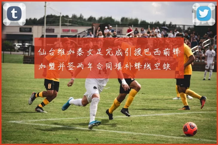 仙台维加泰女足完成引援巴西前锋加盟并签两年合同填补锋线空缺