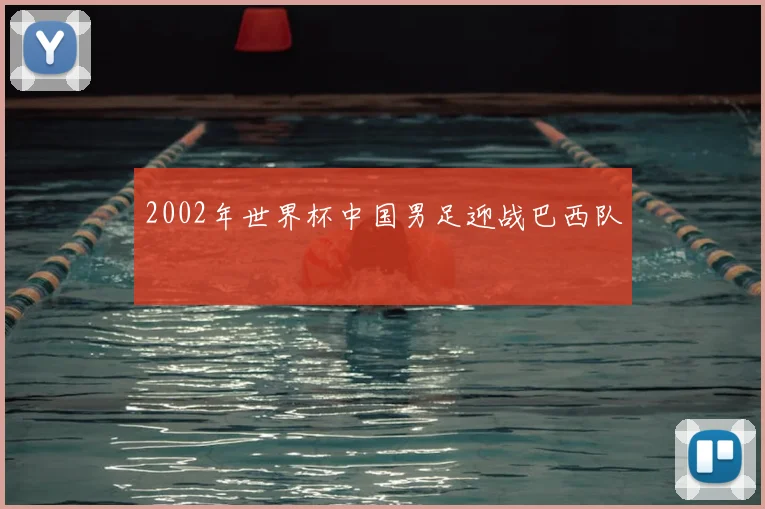2002年世界杯中国男足迎战巴西队
