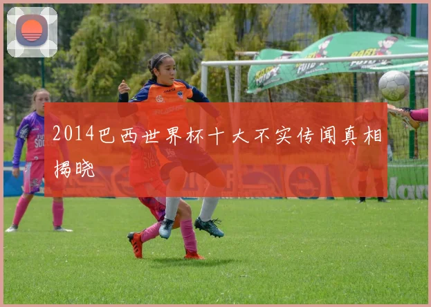 2014巴西世界杯十大不实传闻真相揭晓