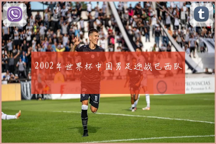 2002年世界杯中国男足迎战巴西队